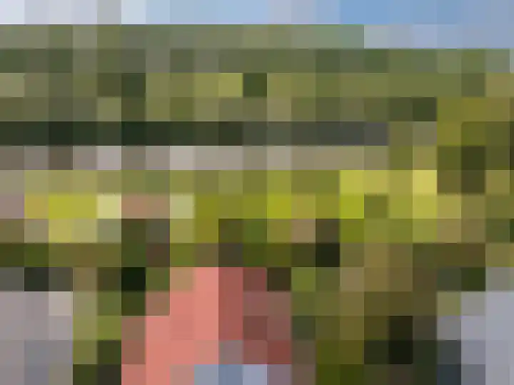 De Rekere 56 Warmenhuizen thumbnail 43
