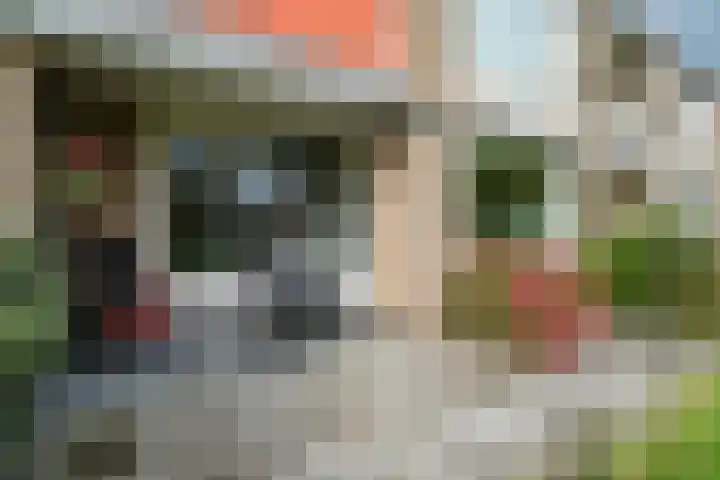 De Rekere 64 Bergen (NH) thumbnail 20