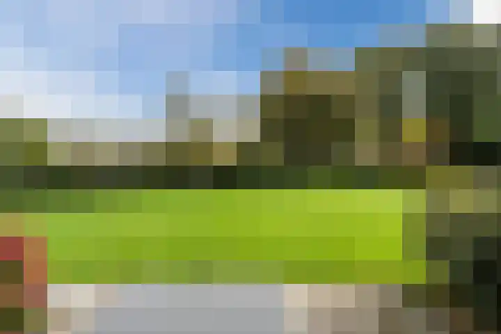 De Rekere 64 Bergen (NH) thumbnail 21
