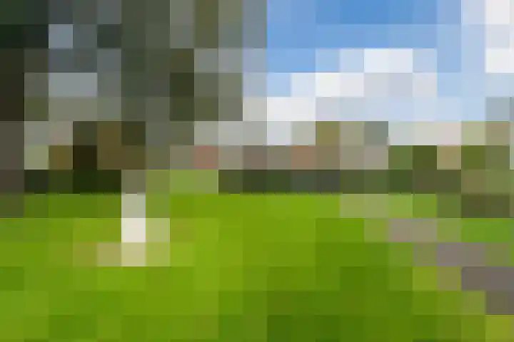 De Rekere 64 Bergen (NH) thumbnail 22