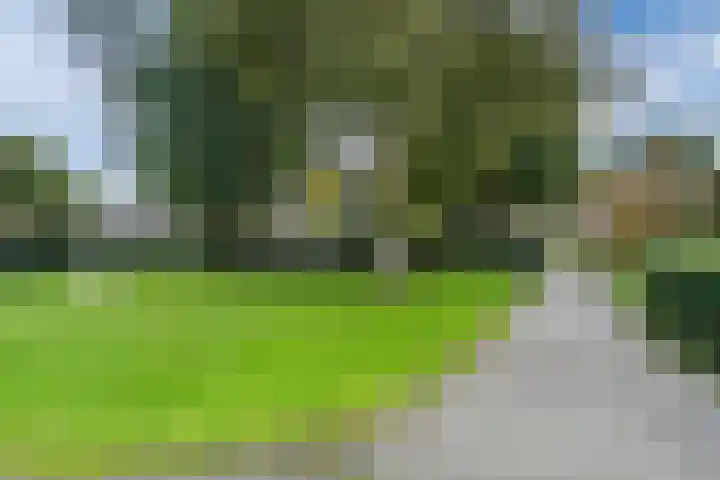 De Rekere 64 Bergen (NH) thumbnail 23