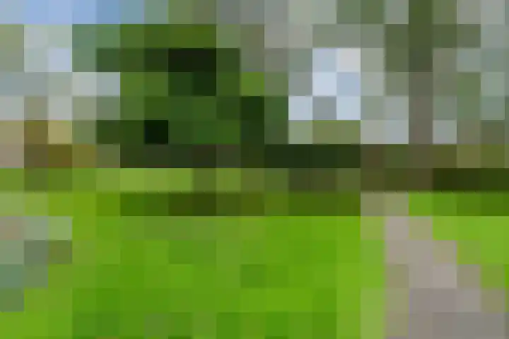 De Rekere 64 Bergen (NH) thumbnail 24