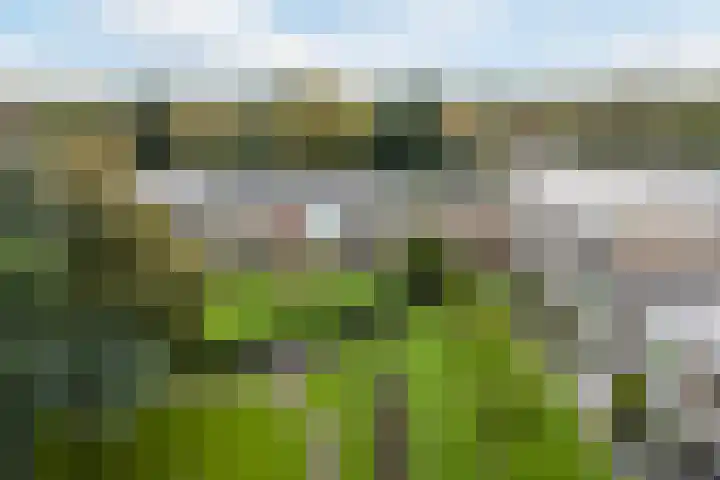 De Rekere 64 Bergen (NH) thumbnail 25
