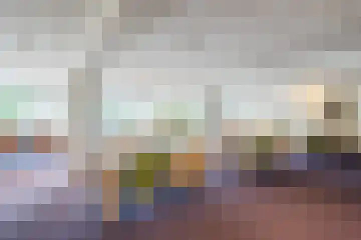 De Rekere 64 Bergen (NH) thumbnail 26