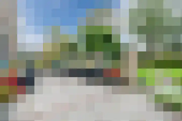 De Rekere 64 Bergen (NH) thumbnail 27
