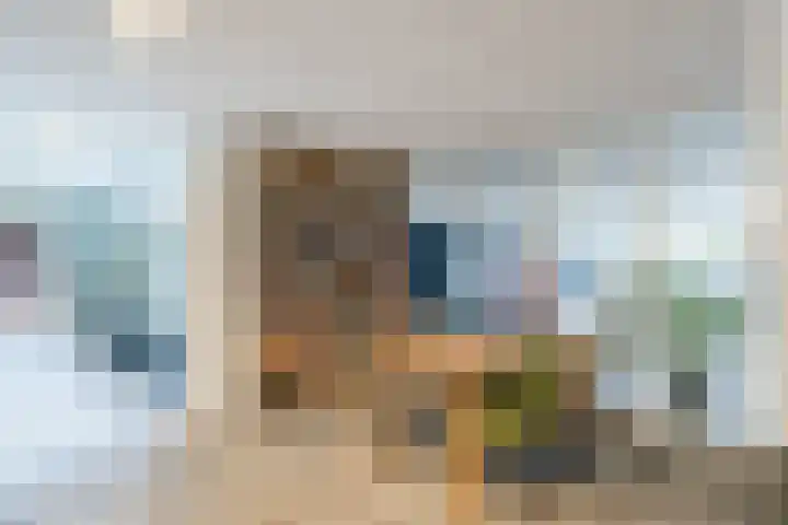 De Rekere 64 Bergen (NH) thumbnail 28