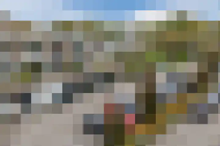De Rekere 64 Bergen (NH) thumbnail 29
