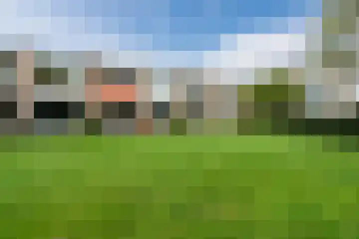 De Rekere 64 Bergen (NH) thumbnail 4