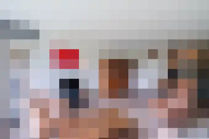 De Rekere 64 Bergen (NH) thumbnail 8