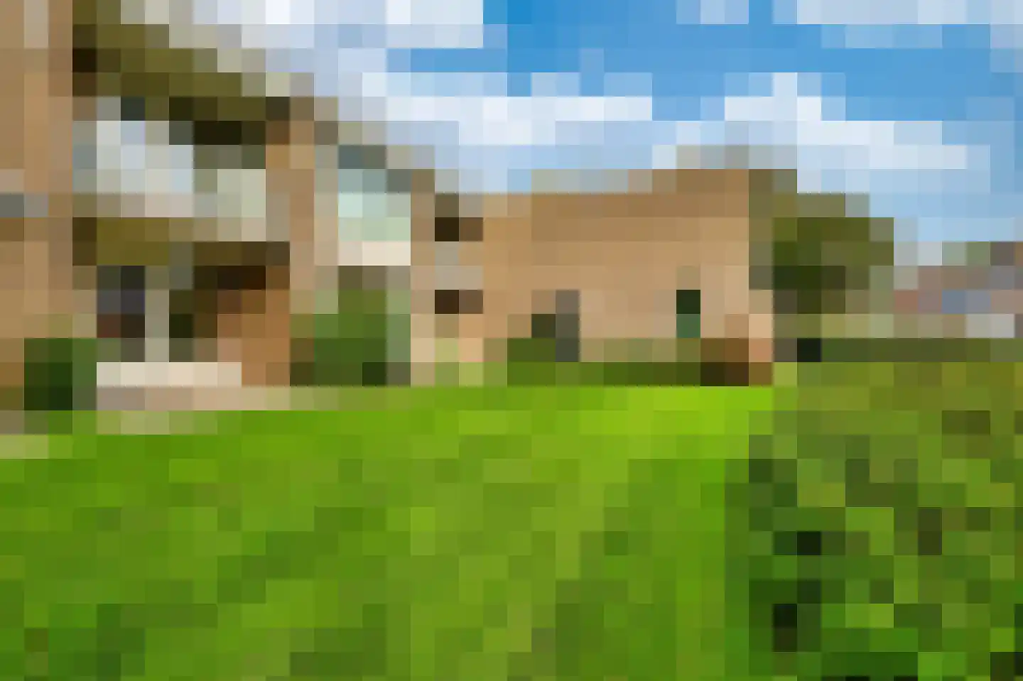 De Rekere 69 Bergen (NH) thumbnail 20