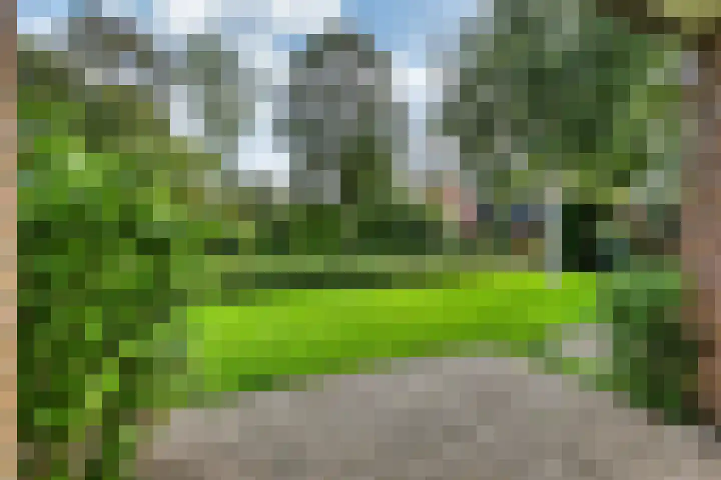 De Rekere 69 Bergen (NH) thumbnail 22