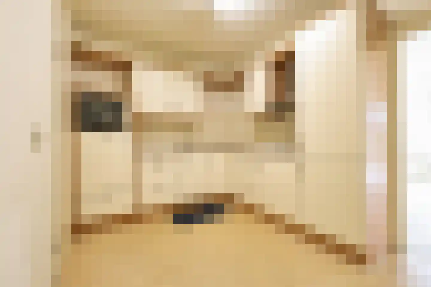 De Rekere 69 Bergen (NH) thumbnail 8