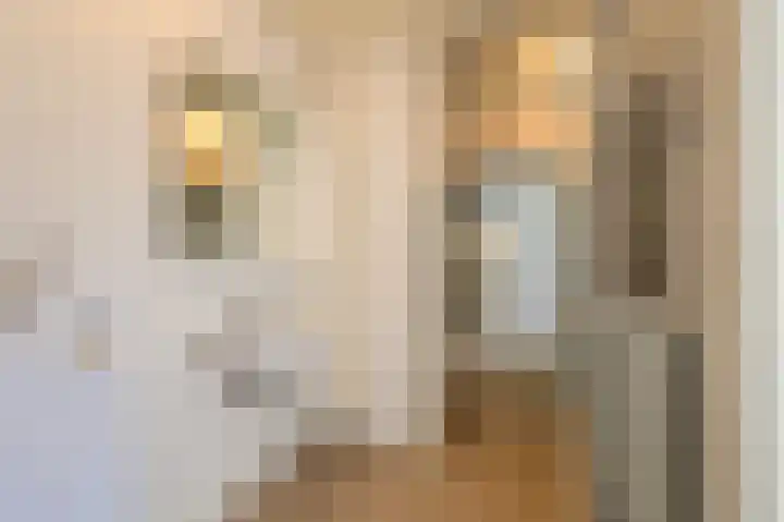 De Rekere 70 Bergen (NH) thumbnail 11