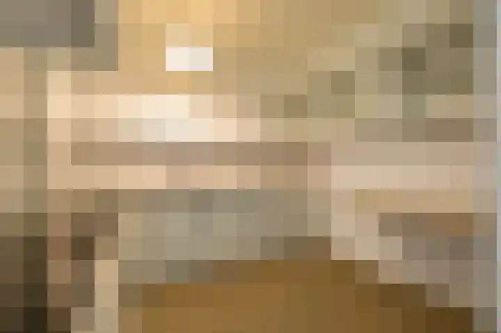De Rekere 70 Bergen (NH) thumbnail 15