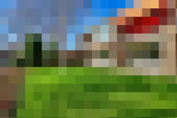 De Rekere 70 Bergen (NH) thumbnail 19