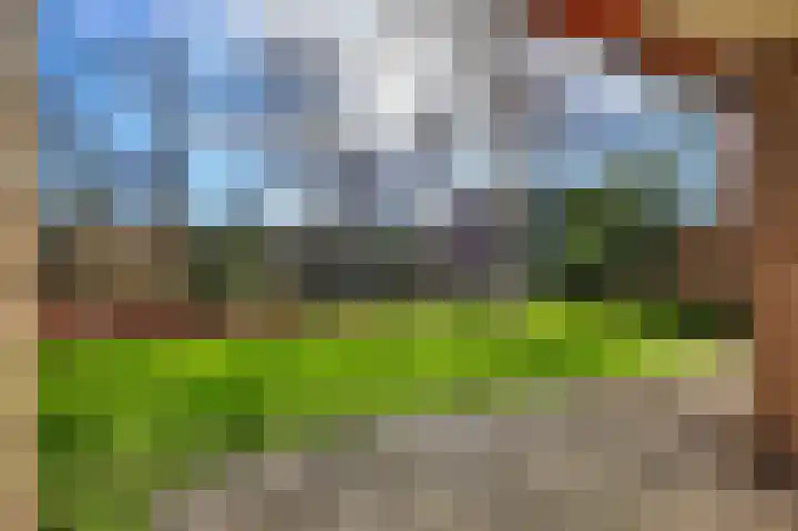 De Rekere 70 Bergen (NH) thumbnail 20