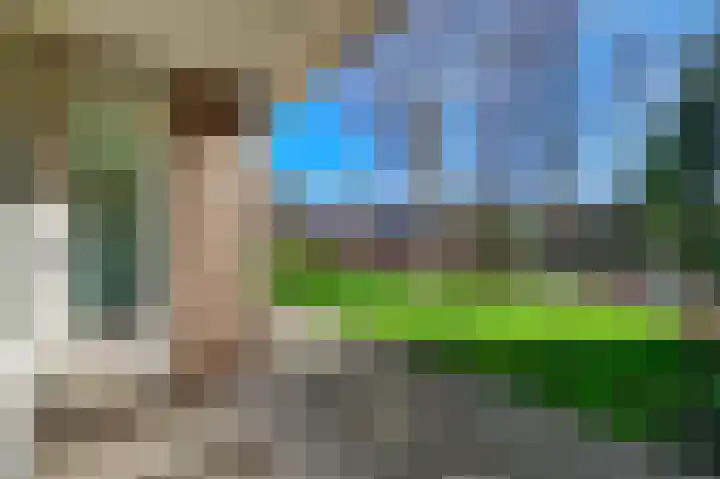 De Rekere 70 Bergen (NH) thumbnail 21