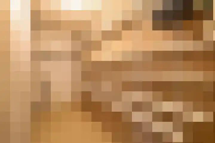 De Rekere 70 Bergen (NH) thumbnail 22