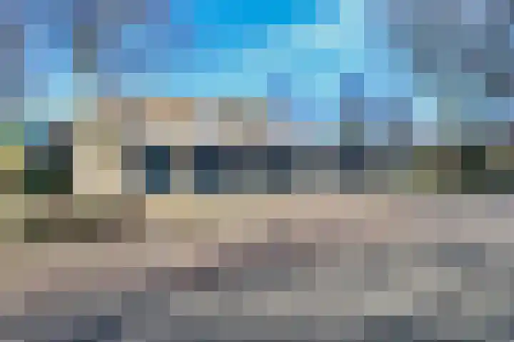 De Rekere 70 Bergen (NH) thumbnail 23