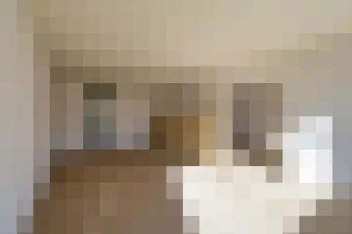 De Rekere 70 Bergen (NH) thumbnail 6