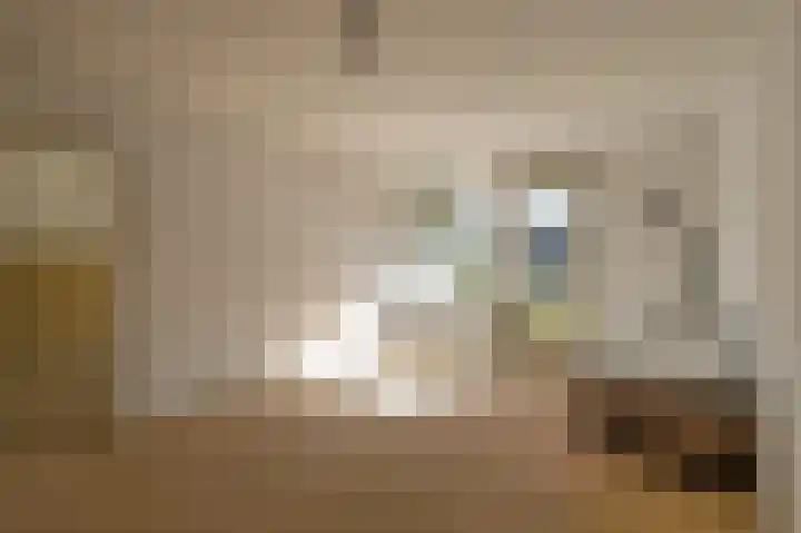 De Rekere 70 Bergen (NH) thumbnail 8