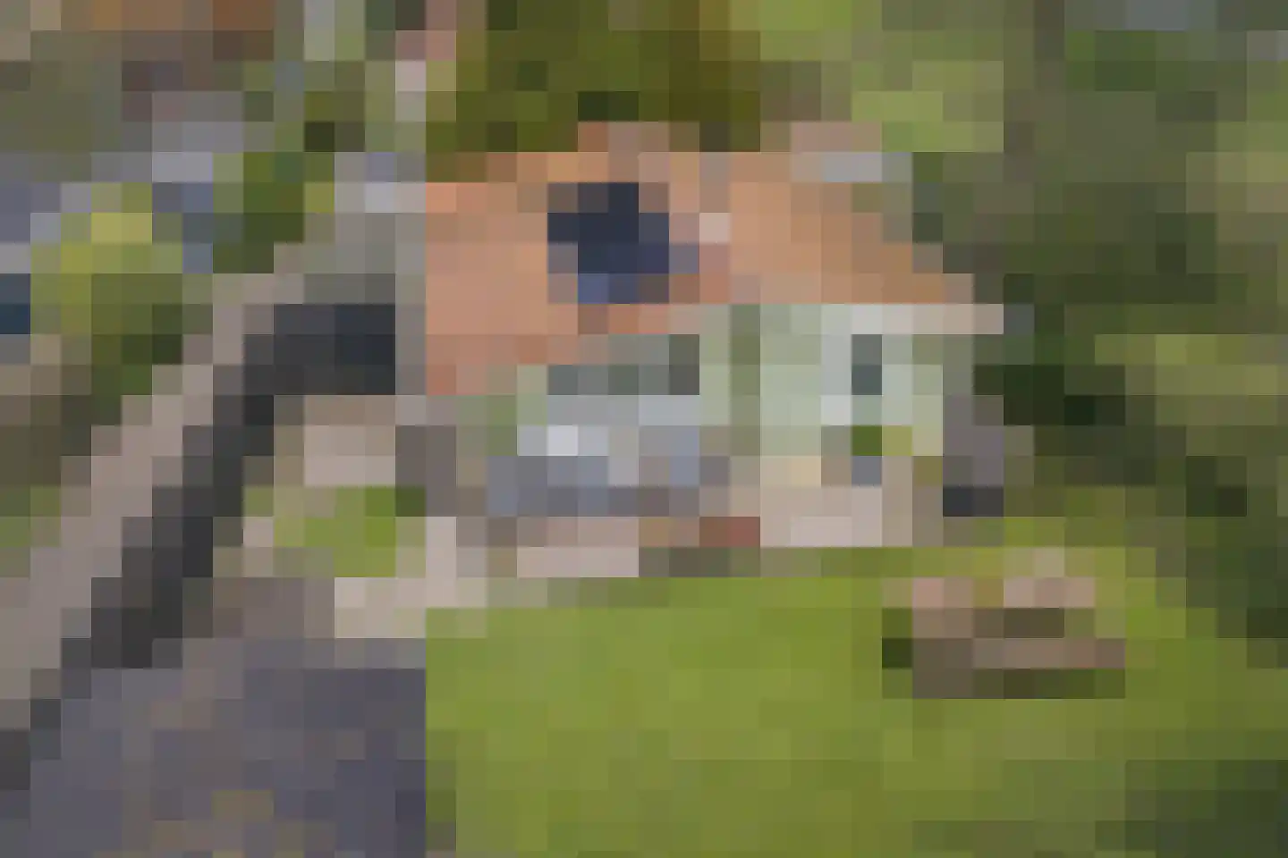 De Rekere 70 Warmenhuizen