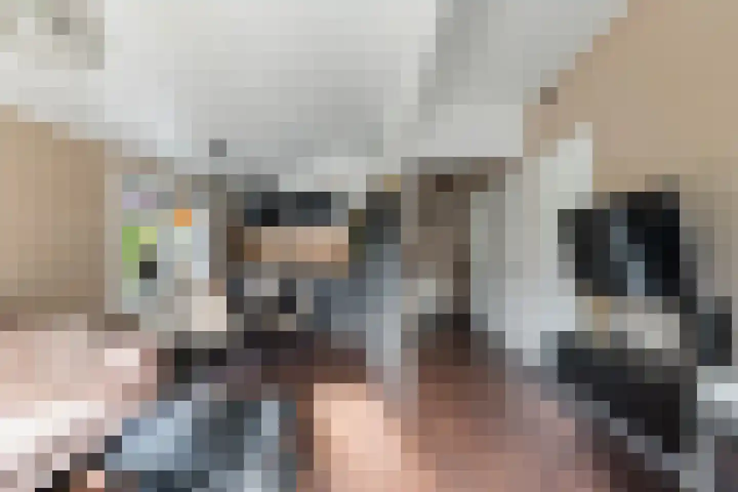 De Rekere 70 Warmenhuizen thumbnail 10