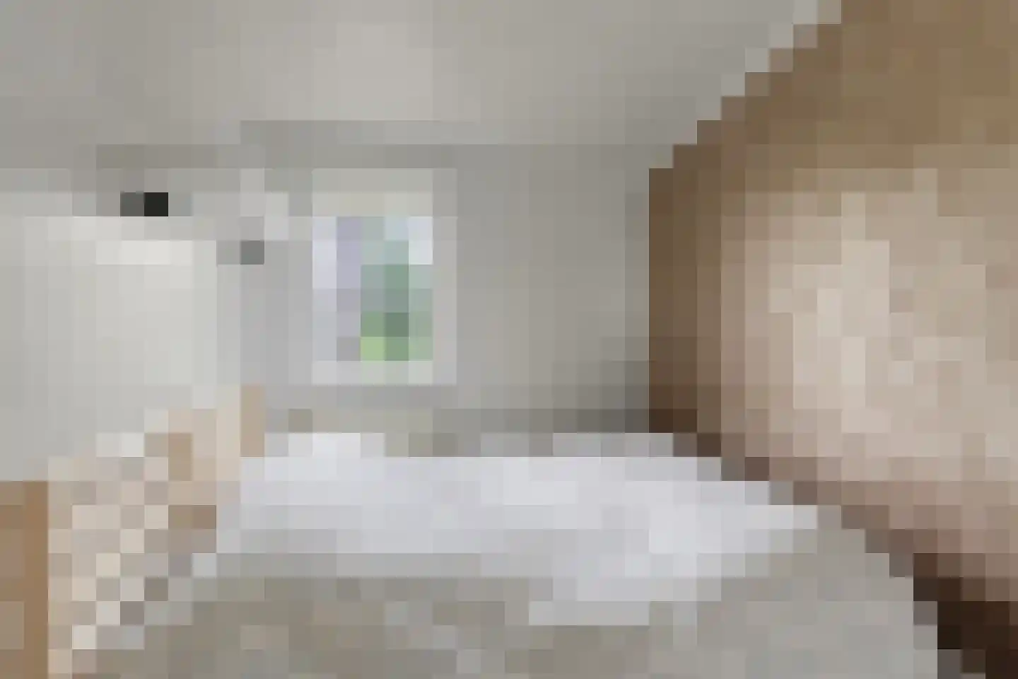 De Rekere 70 Warmenhuizen thumbnail 18