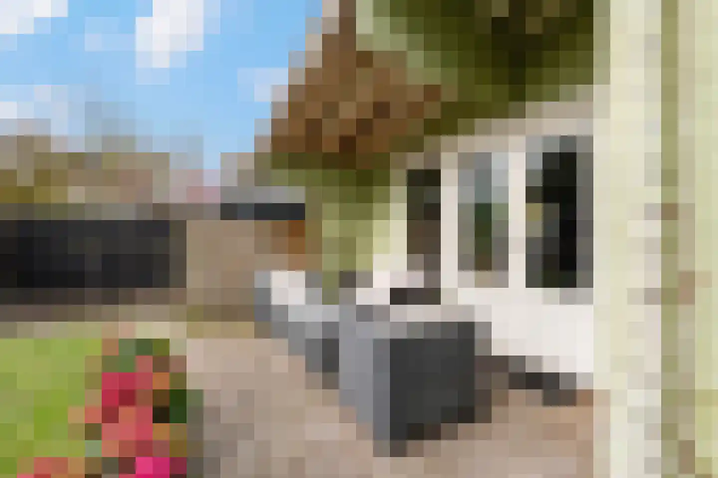 De Rekere 70 Warmenhuizen foto 2