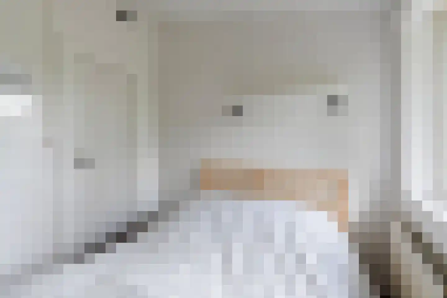 De Rekere 70 Warmenhuizen thumbnail 20
