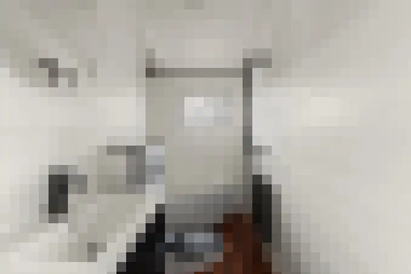 De Rekere 70 Warmenhuizen thumbnail 21