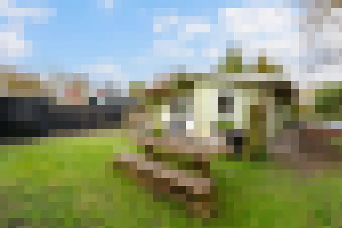 De Rekere 70 Warmenhuizen thumbnail 24
