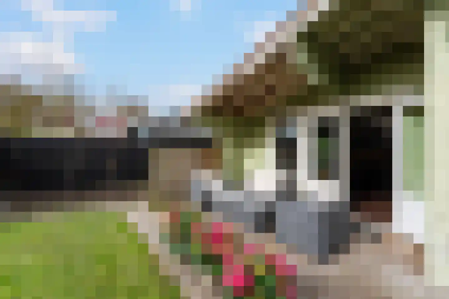 De Rekere 70 Warmenhuizen thumbnail 25