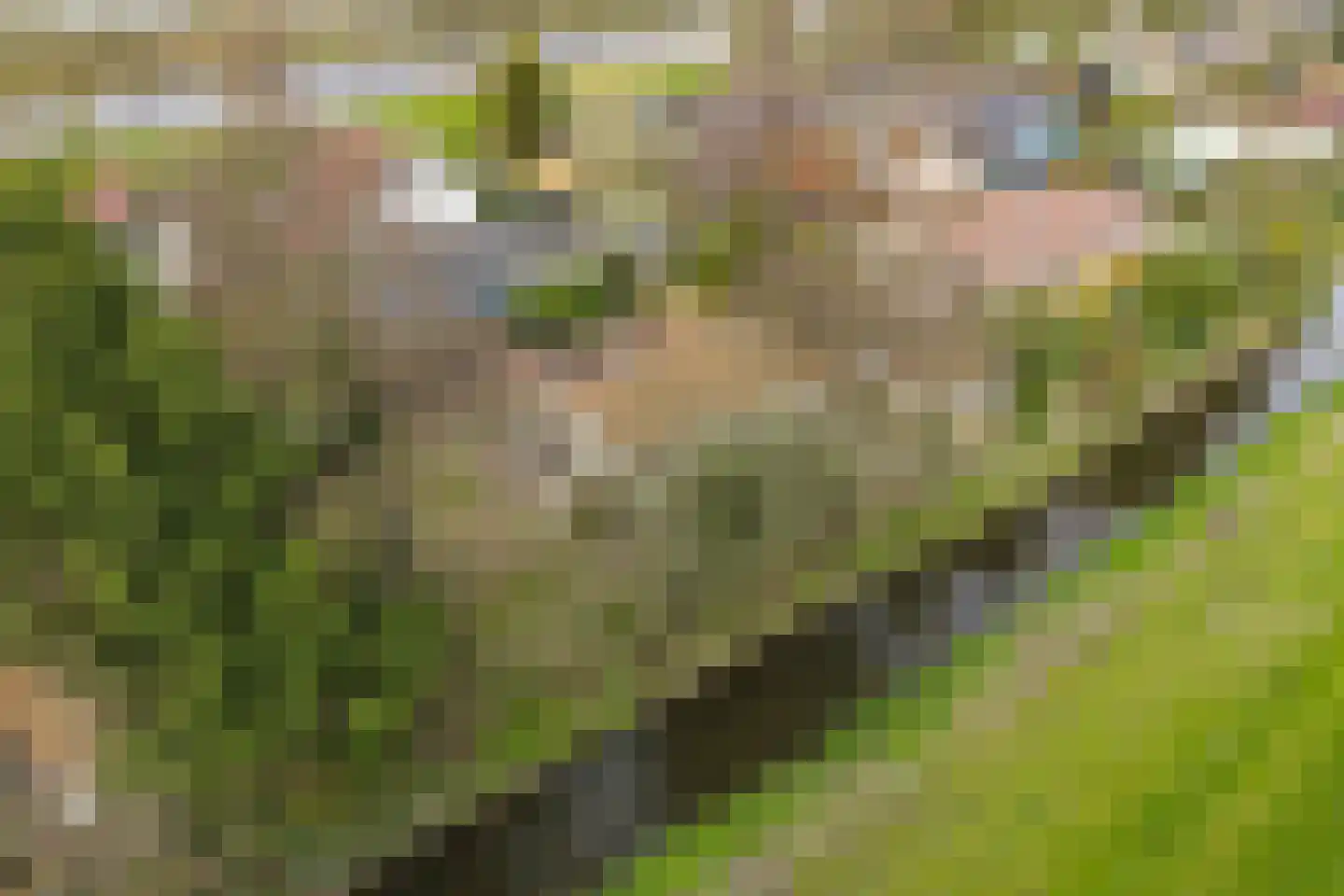 De Rekere 70 Warmenhuizen thumbnail 28