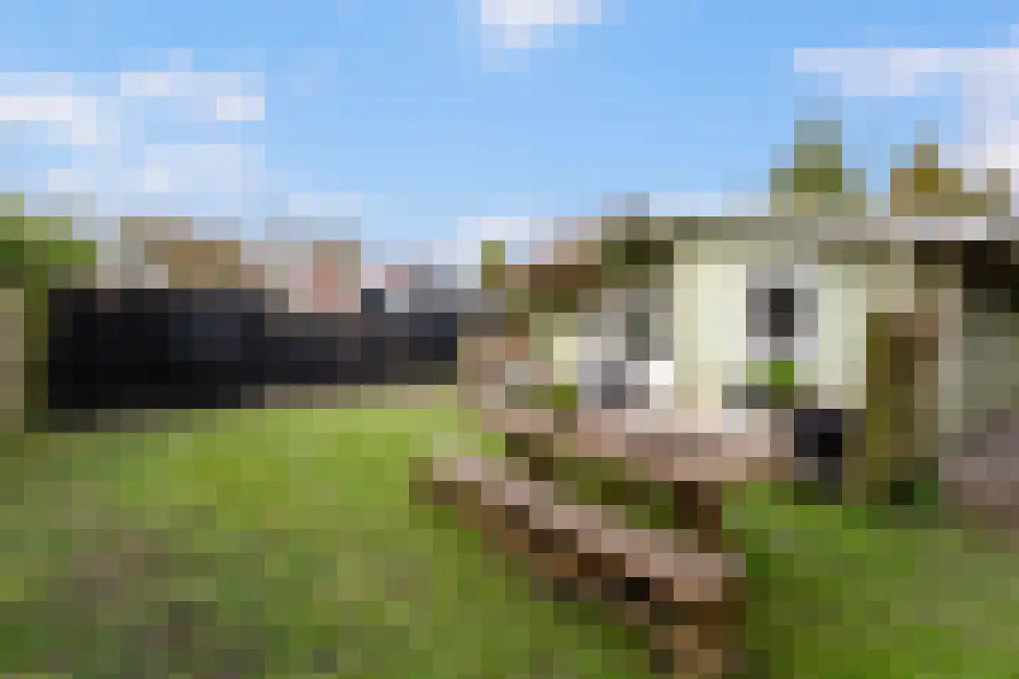 De Rekere 70 Warmenhuizen foto 3