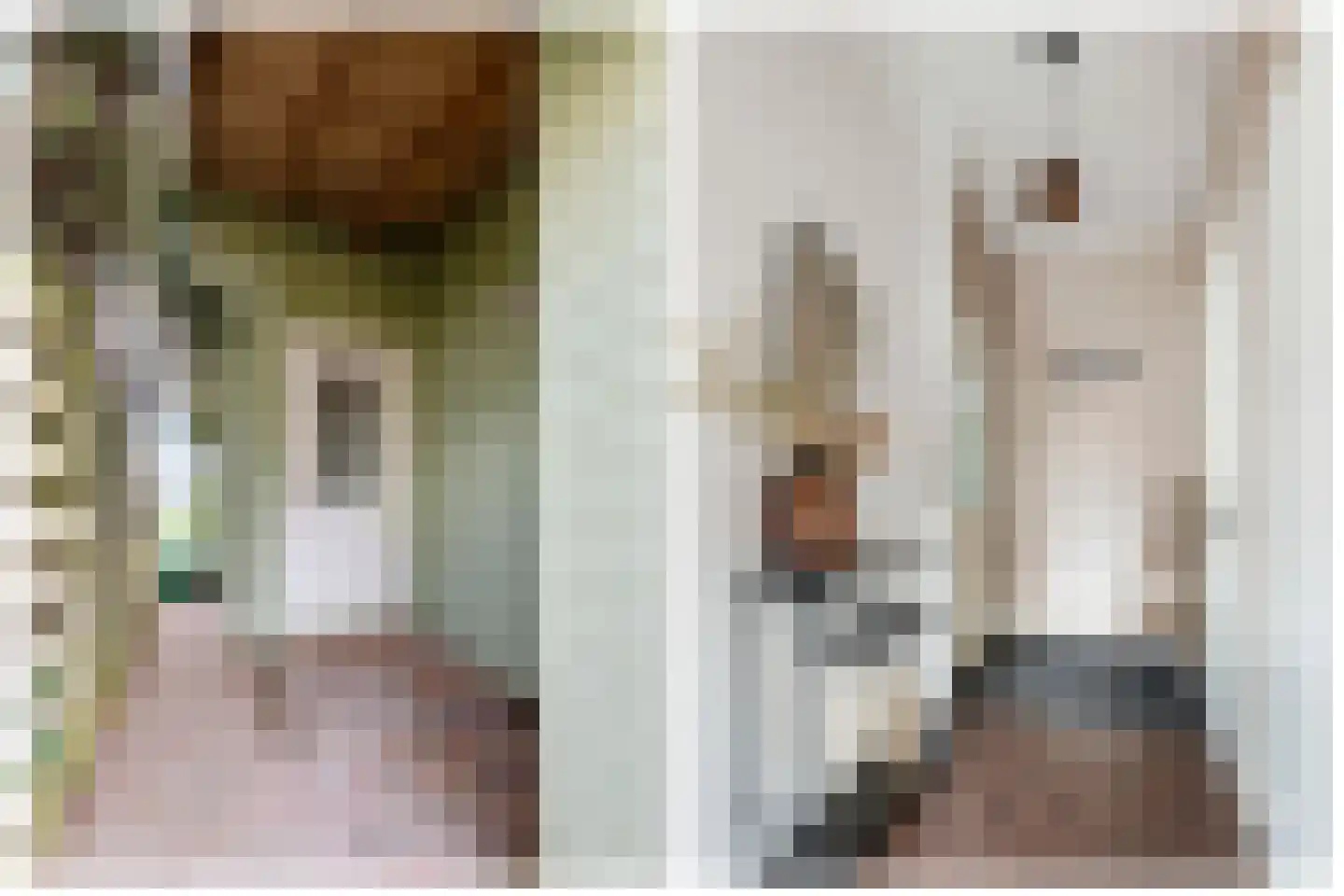 De Rekere 70 Warmenhuizen thumbnail 5