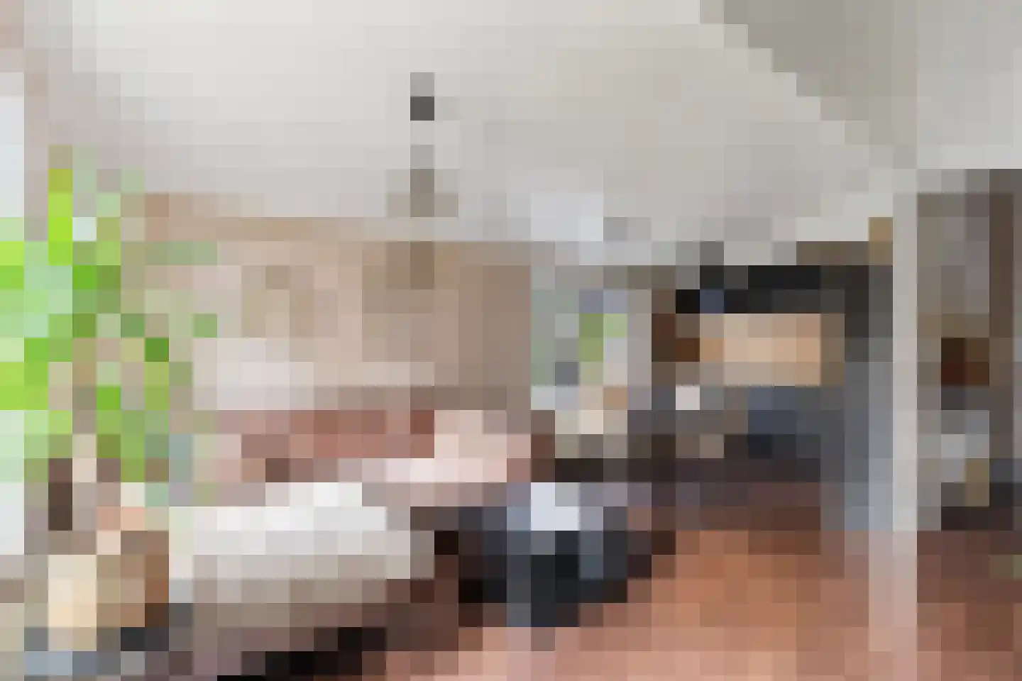 De Rekere 70 Warmenhuizen thumbnail 8