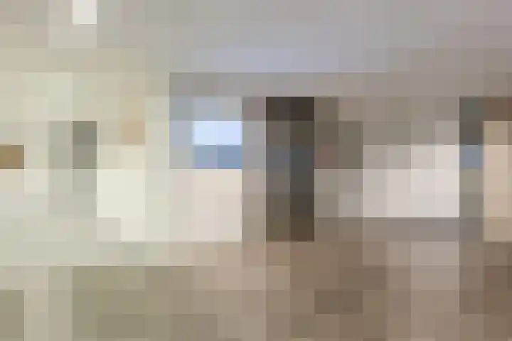 De Rekere 76 Bergen (NH) thumbnail 10