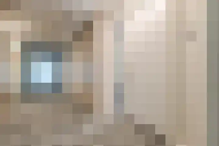 De Rekere 76 Bergen (NH) thumbnail 11