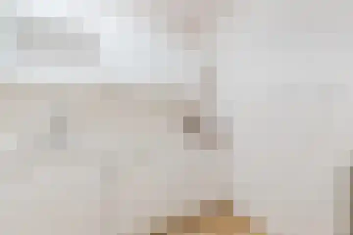 De Rekere 76 Bergen (NH) thumbnail 15
