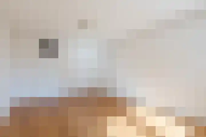 De Rekere 76 Bergen (NH) thumbnail 22