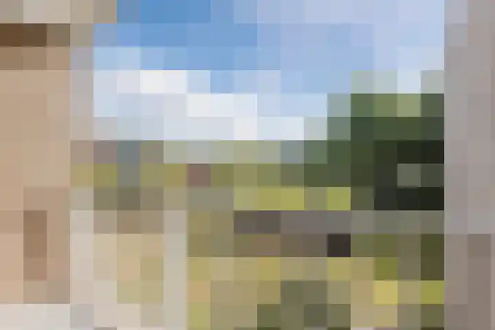 De Rekere 76 Bergen (NH) thumbnail 26