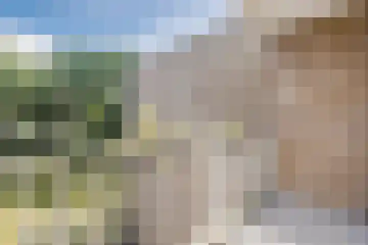De Rekere 76 Bergen (NH) thumbnail 27