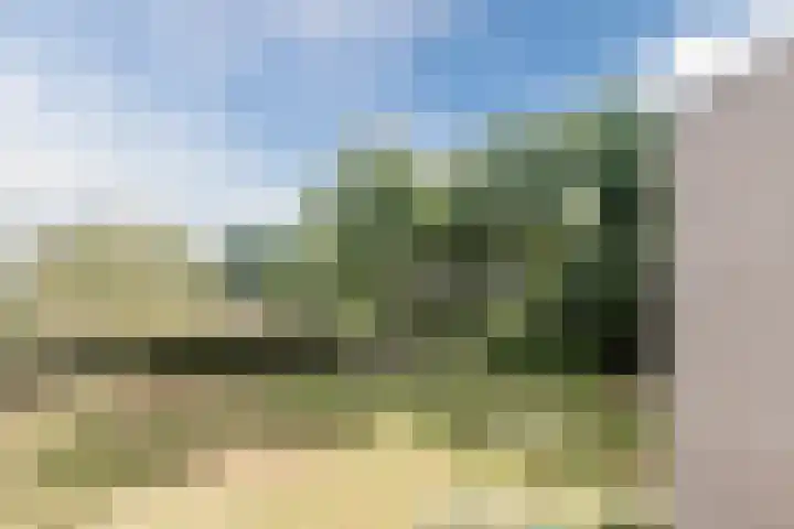 De Rekere 76 Bergen (NH) thumbnail 28