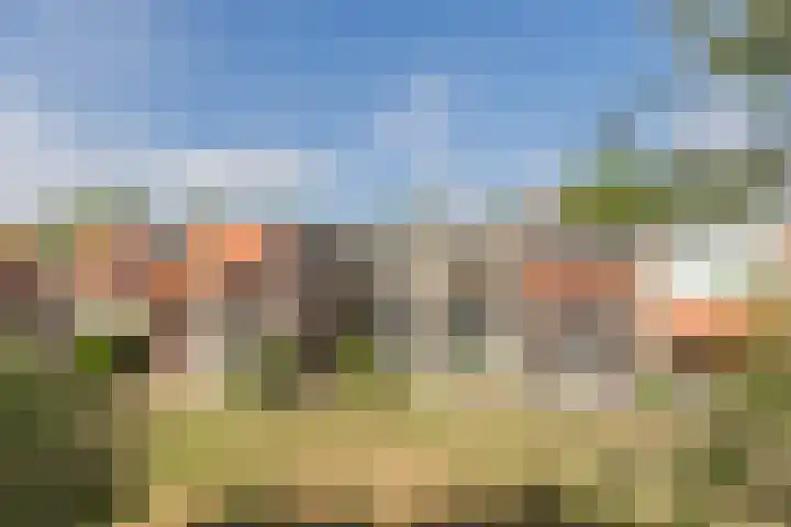 De Rekere 76 Bergen (NH) thumbnail 29