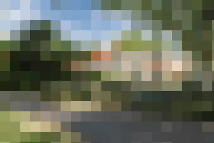 De Rekere 76 Bergen (NH) thumbnail 31