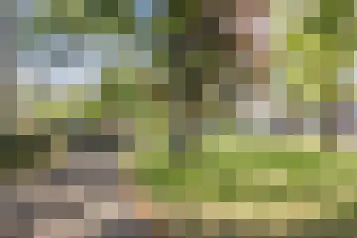 De Rekere 76 Bergen (NH) thumbnail 32