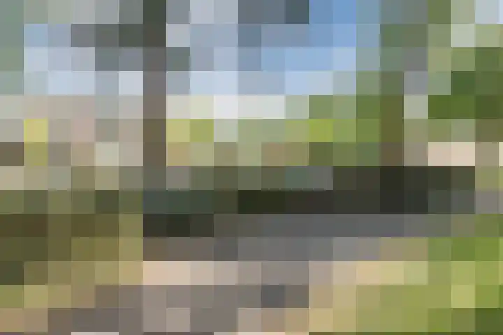 De Rekere 76 Bergen (NH) thumbnail 33