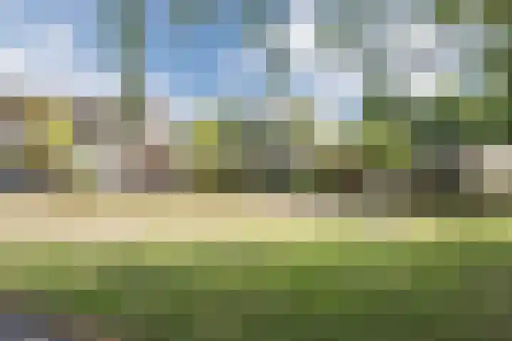 De Rekere 76 Bergen (NH) thumbnail 34