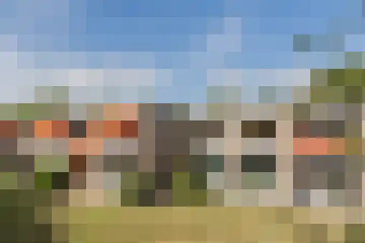 De Rekere 76 Bergen (NH) thumbnail 38
